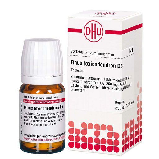 RHUS TOXICODENDRON D 6 Tabletten* 80 St