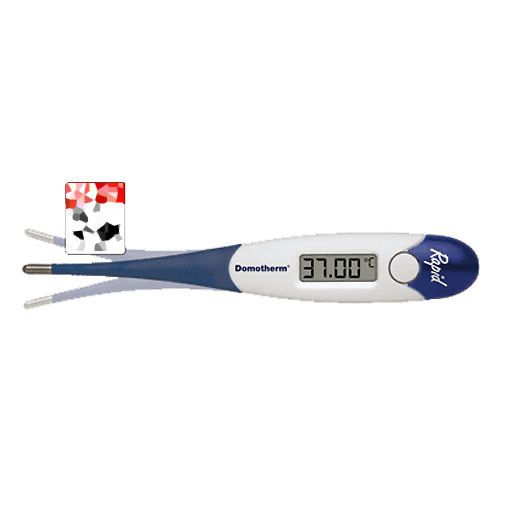 DOMOTHERM Rapid Fieberthermometer 1 St