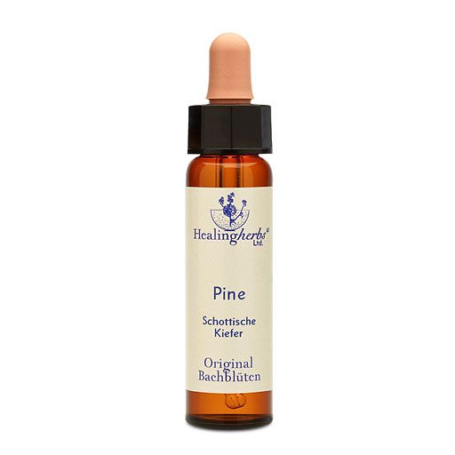 BACHBLÜTEN Pine Healing Herbs Tropfen 10 ml