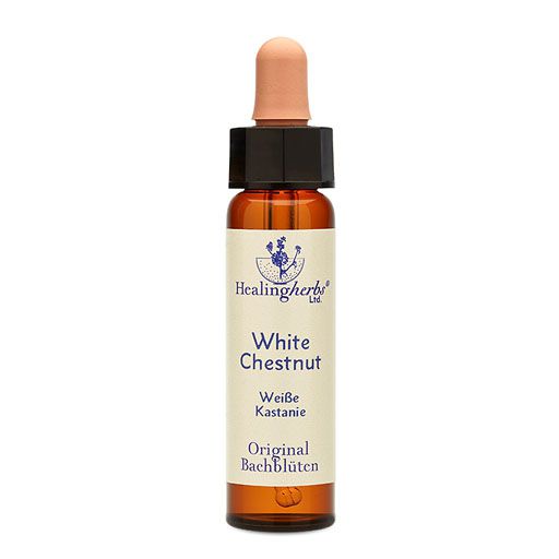 BACHBLÜTEN White Chestnut Healing Herbs Tropfen 10 ml