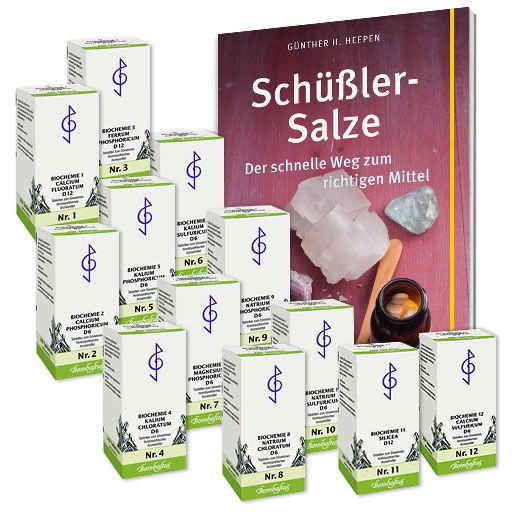 Schüßler-Salze Set 1-12 + Buch
