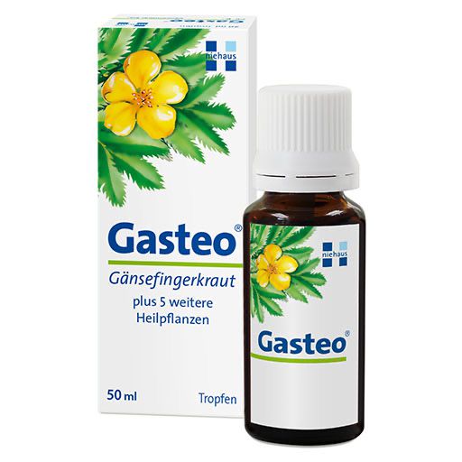 GASTEO Tropfen zum Einnehmen* 50 ml