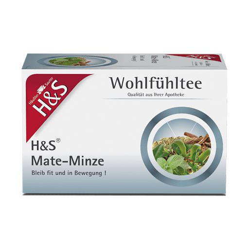 H&S Mate-Minze Filterbeutel 20x1,8 g