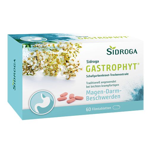 SIDROGA GastroPhyt 250 mg Filmtabletten* 60 St