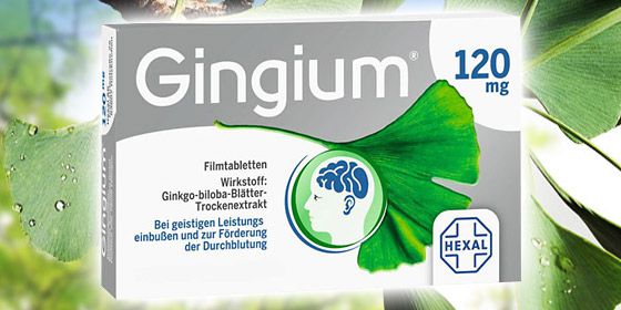 GINGIUM 120 mg Filmtabletten* 120 St
